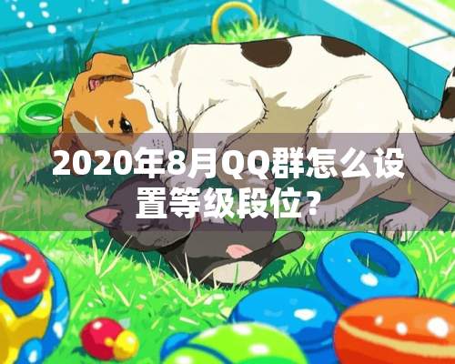 2020年8月QQ群怎么设置等级段位？