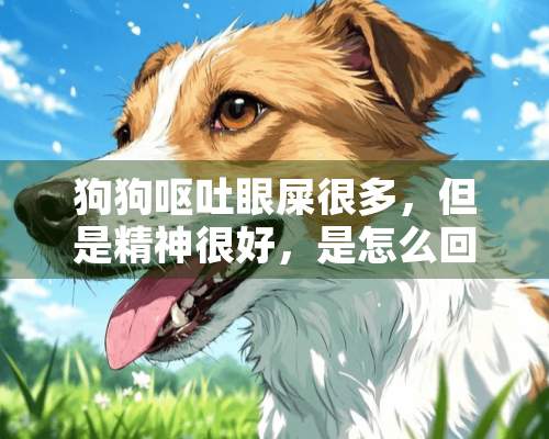 狗狗呕吐眼屎很多，但是精神很好，是怎么回事？