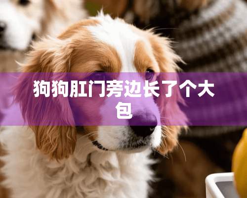 狗狗*门旁边长了个大包