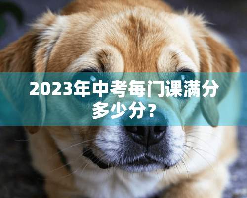 2023年中考每门课满分多少分？