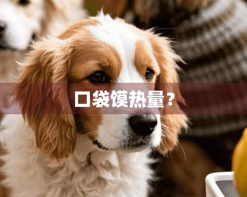 口袋馍热量？