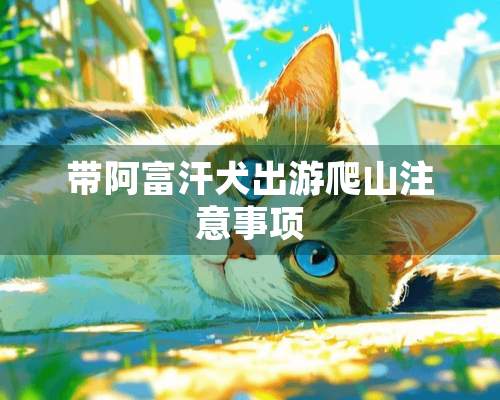 带阿富汗犬出游爬山注意事项