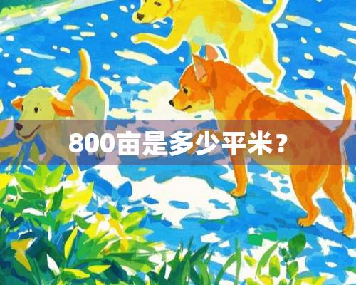 800亩是多少平米？