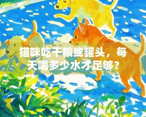 猫咪吃干粮或罐头，每天喝多少水才足够？