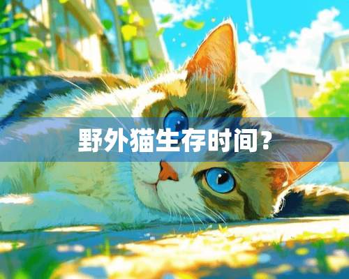 野外猫生存时间？