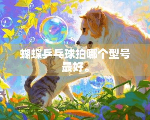 蝴蝶乒乓球拍哪个型号最好。