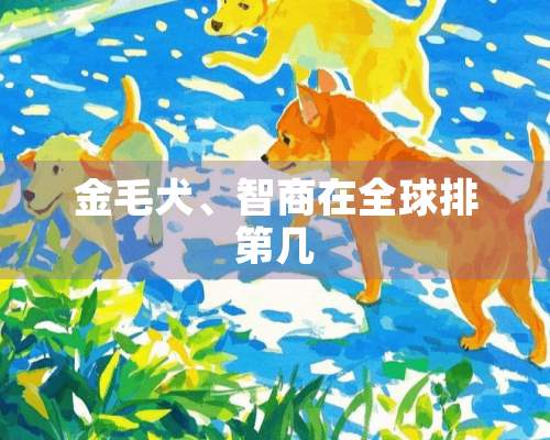 金毛犬、智商在全球排第几