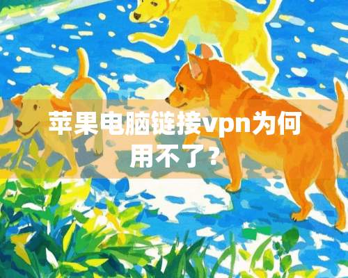 苹果电脑链接vpn为何用不了？