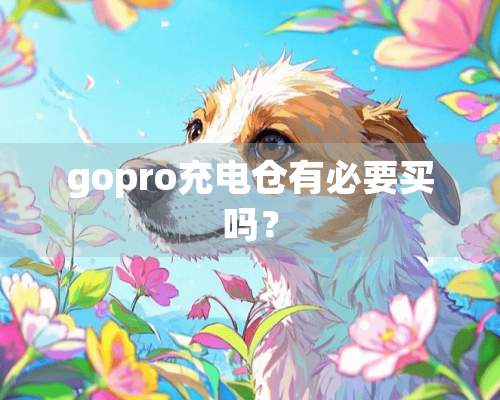 gopro充电仓有必要买吗？