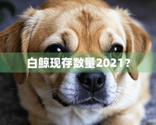 白鲸现存数量2021？