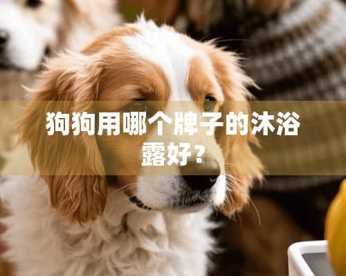 狗狗用哪个牌子的沐浴露好？