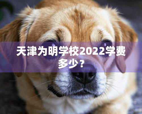 天津为明学校2022学费多少？