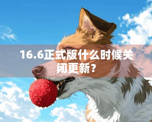 16.6正式版什么时候关闭更新？