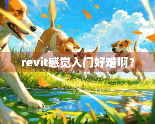 revit感觉入门好难啊？