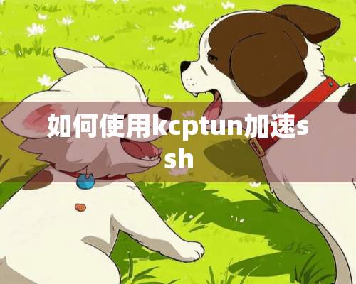 如何使用kcptun加速ssh