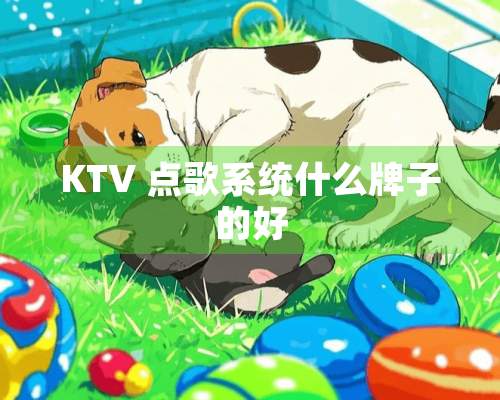 KTV 点歌系统什么牌子的好