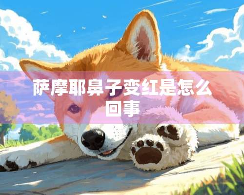 萨摩耶鼻子变红是怎么回事