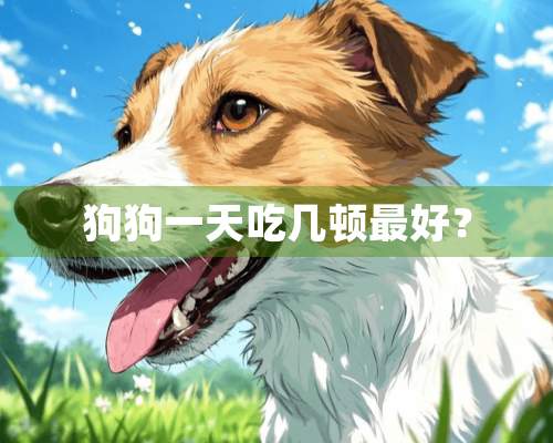 狗狗一天吃几顿最好？