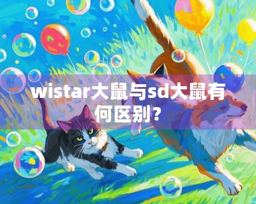 wistar大鼠与sd大鼠有何区别？