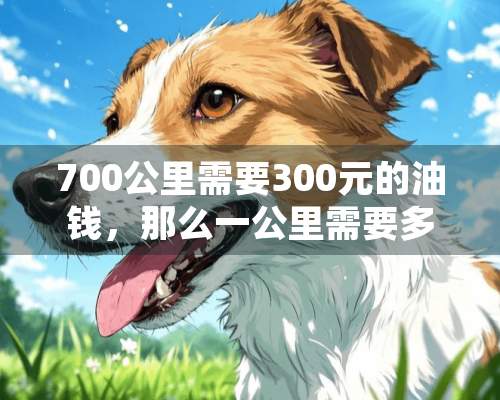 700公里需要300元的油钱，那么一公里需要多少的油钱，详细的算法告诉我一下？