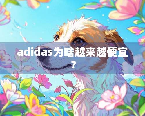 adidas为啥越来越便宜？