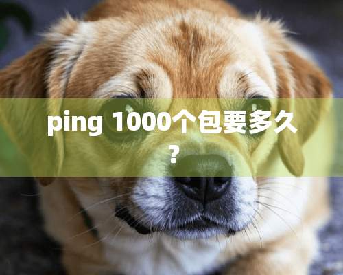 ping 1000个包要多久？