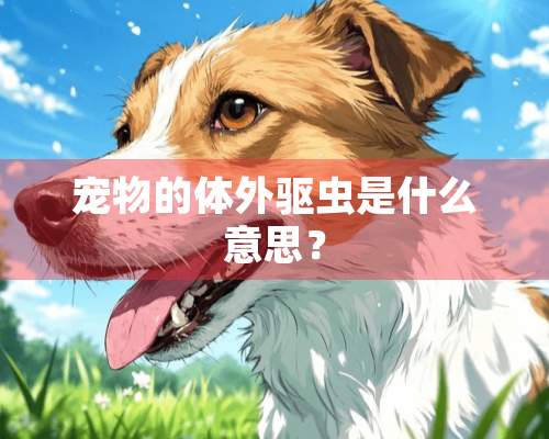 宠物的体外驱虫是什么意思？