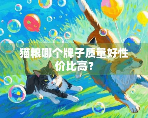 猫粮哪个牌子质量好性价比高？