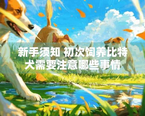 新手须知 初次饲养比特犬需要注意哪些事情