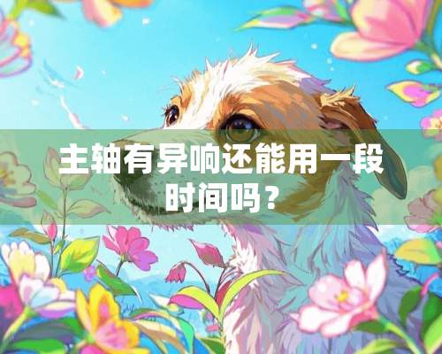 主轴有异响还能用一段时间吗？