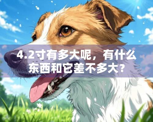 4.2寸有多大呢，有什么东西和它差不多大？