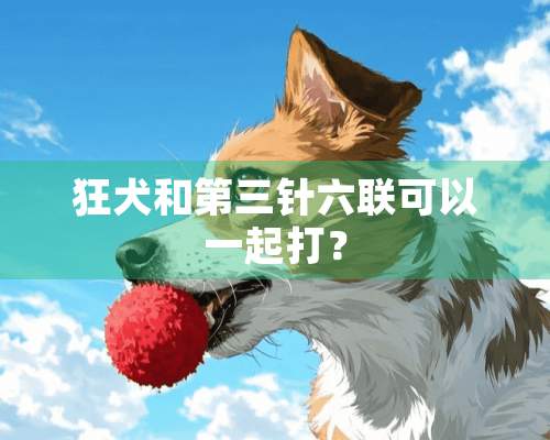 狂犬和第三针六联可以一起打？