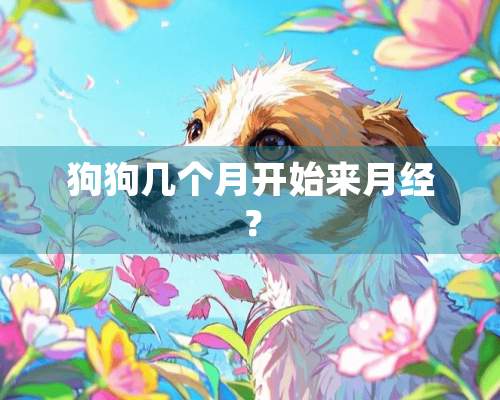 狗狗几个月开始来月经？