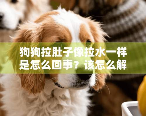 狗狗拉肚子像拉水一样是怎么回事？该怎么解决？