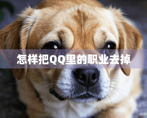 怎样把QQ里的职业去掉