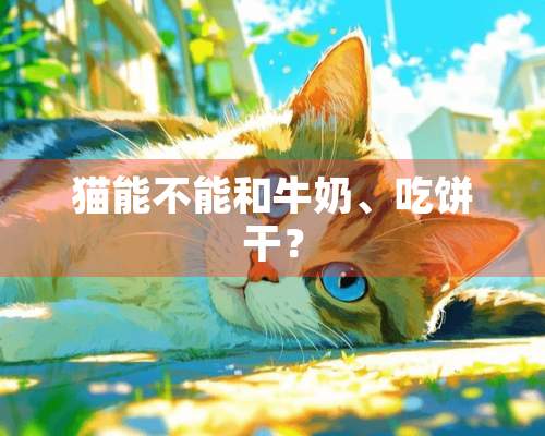 猫能不能和牛奶、吃饼干？