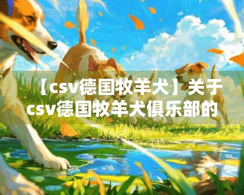 【csv德国牧羊犬】关于csv德国牧羊犬俱乐部的知识