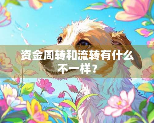 资金周转和流转有什么不一样？