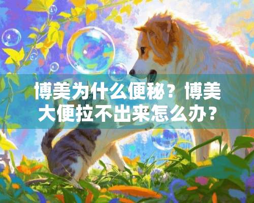 博美为什么便秘？博美大便拉不出来怎么办？