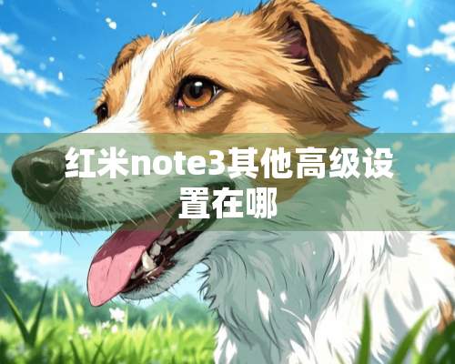 红米note3其他高级设置在哪