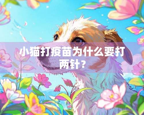 小猫打疫苗为什么要打两针？