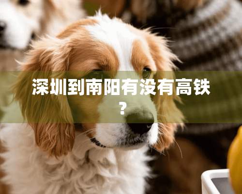 深圳到南阳有没有高铁？