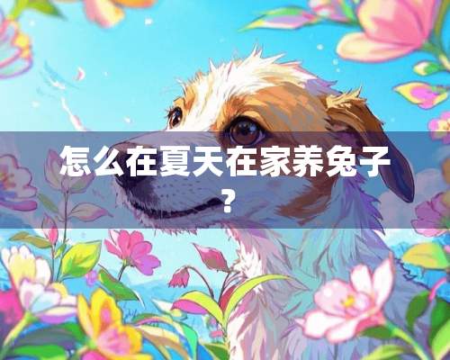 怎么在夏天在家养兔子？