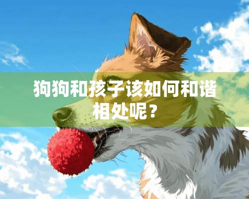 狗狗和孩子该如何和谐相处呢？