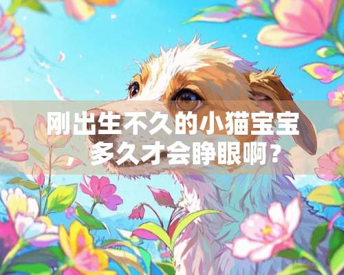 刚出生不久的小猫宝宝，多久才会睁眼啊？