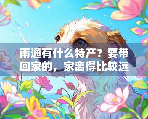 南通有什么特产？要带回家的，家离得比较远