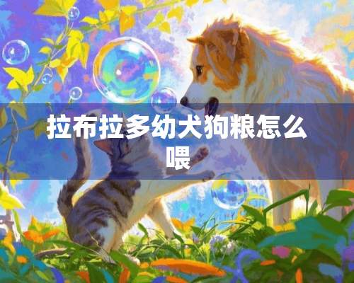 拉布拉多幼犬狗粮怎么喂