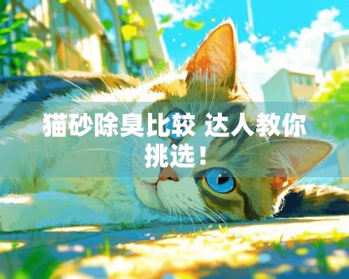 猫砂除臭比较 达人教你挑选！