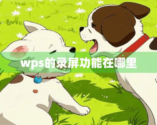 wps的录屏功能在哪里