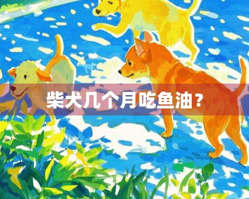 柴犬几个月吃鱼油？